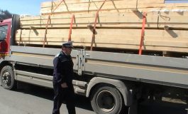 Agenții SPR Vadu Moldovei sunt cu ochii pe transportatorii de lemne. Șofer depistat cu marfă în plus