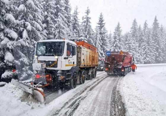 Cod Portocaliu de viscol în județul Suceava