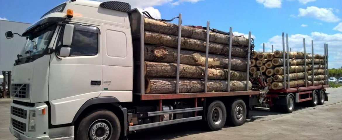 Lovitură pentru mafia lemnului. Polițiștii suceveni au confiscat ansambluri auto de circa 900.000 de euro