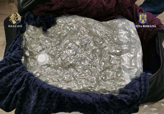 Procurorii DIICOT au reținut un bărbat depistat în Fălticeni cu un colet în care erau 9,9 kilograme de cannabis