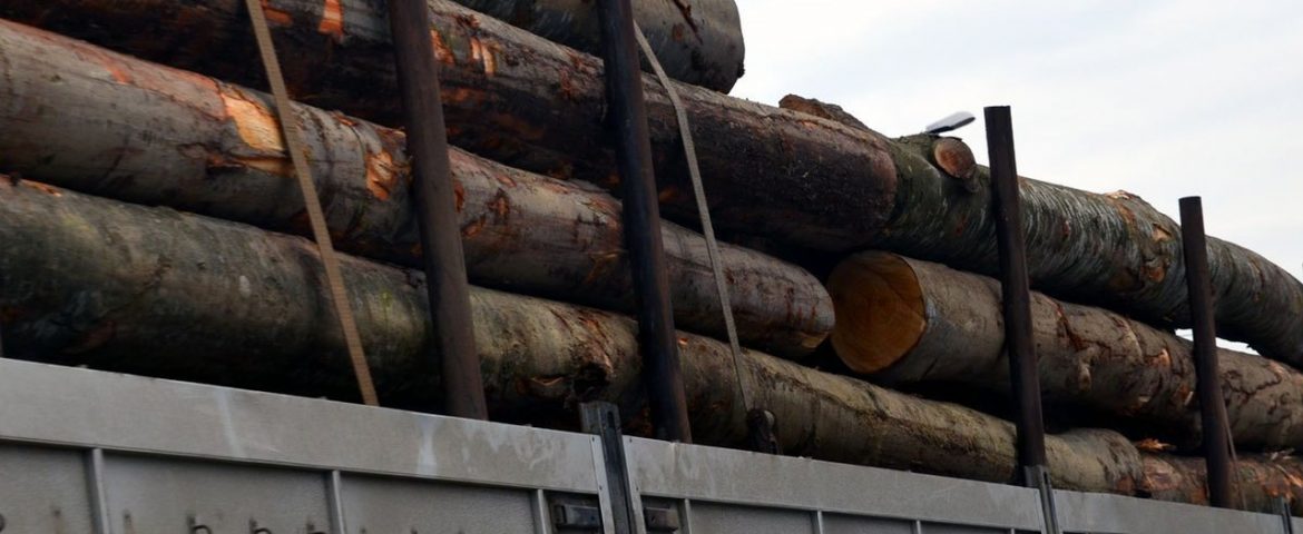 Material lemnos confiscat de polițiștii din Vadu Moldovei