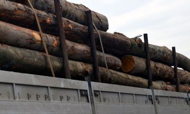 Material lemnos confiscat de polițiștii din Vadu Moldovei