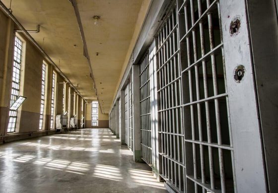 Tânăr din Dolhasca escortat la Penitenciarul din Botoșani pentru comiterea unor infracțiuni economice