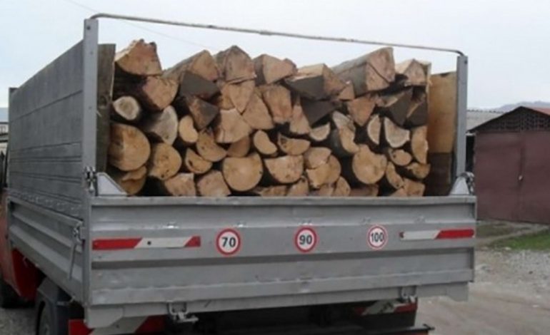 Controale inopinate ale agenților SPR Vadu Moldovei. Transporturi de lemne depistate fără documente