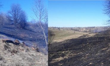 Incendii de vegetație pe 50 de hectare de teren în comuna Forăști. Flăcările au pus în pericol 12 locuințe