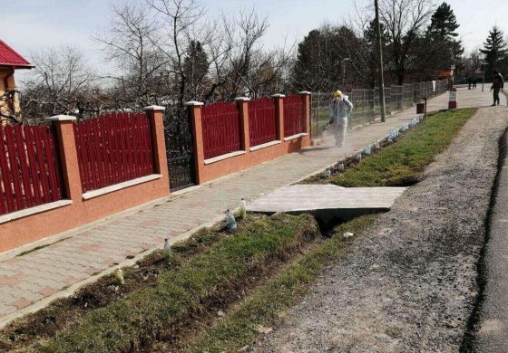 Comuna Drăguşeni intră în scenariul roşu în ajunul sărbătorilor pe stil vechi. Opt cazuri active de COVID-19