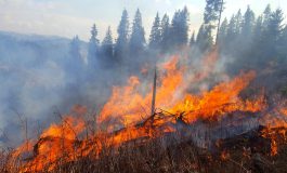 Fondurile forestiere din zonele de munte ale județului Suceava amenințate de incendii