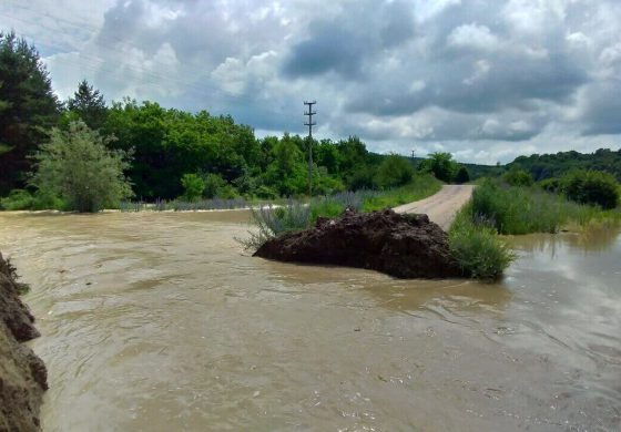 Ploile au scos râul Moldova din matcă. Autoritățile Comunei Baia au preîntâmpinat producerea inundațiilor