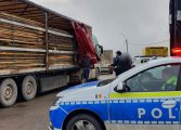 Controale în comuna Mălini. Poliția și Garda Forestieră au identificat noi transporturi fictive de material lemnos