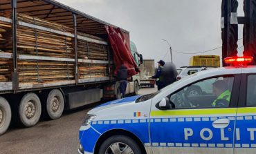 Polițiștii suceveni au reținut trei persoane implicate în furturi de lemn. Au fost confiscați peste 200 de metri cubi de material lemnos