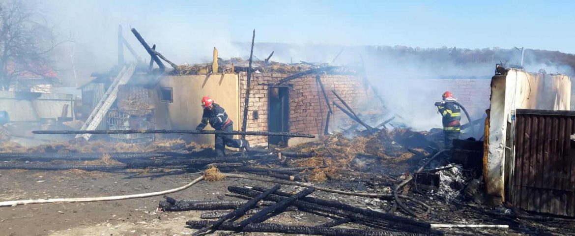 Incendiu în Comuna Vulturești. Flăcările au distrus un adăpost de animale. Locuința și vietățile au fost salvate