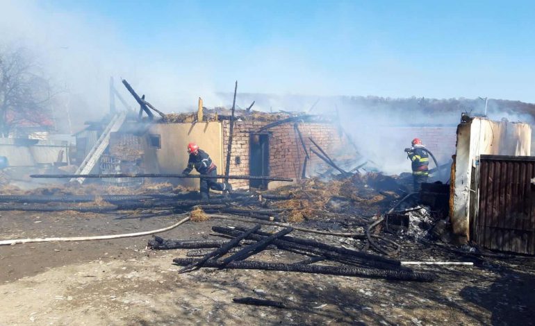 Incendiu în Comuna Vulturești. Flăcările au distrus un adăpost de animale. Locuința și vietățile au fost salvate