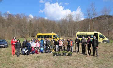 Acțiune de plantare în Comuna Râșca. Școala, Ocolul Silvic și Primăria ajută la refacerea pădurii