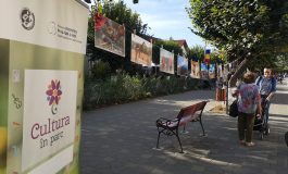 Cultura în Parc revine la Fălticeni. Expoziție de fotografie și concert în aer liber. Evenimentul are loc pe „faleză”