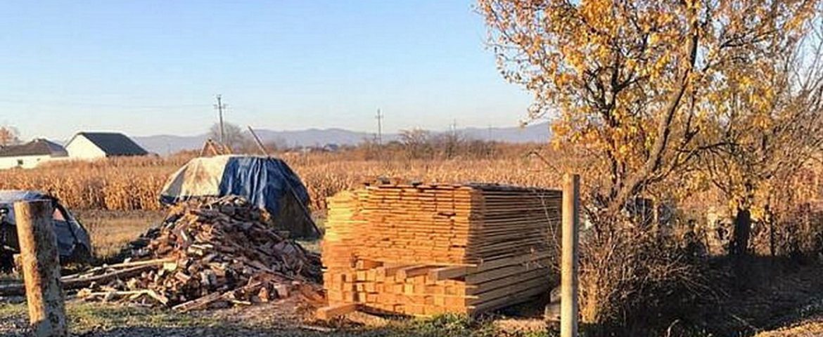 Percheziții la un gater improvizat în comuna Horodniceni. Amendă de 5.000 de lei și material lemnos confiscat în cadrul acțiunii „Scutul Pădurii”