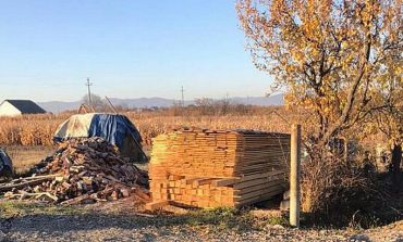 Percheziții la un gater improvizat în comuna Horodniceni. Amendă de 5.000 de lei și material lemnos confiscat în cadrul acțiunii „Scutul Pădurii”