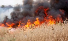Incendii de vegetație scăpate de sub control. Pompierii au intervenit în satul Mihăiești și la iazurile din Fălticeni