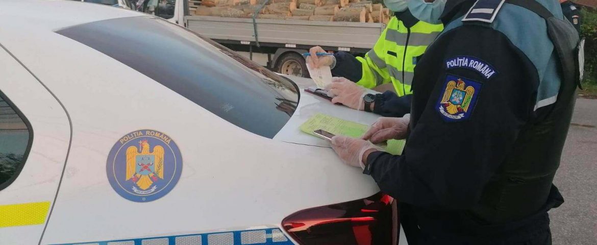 Agenții SPR Vadu Moldovei au amendat un șofer din Boroaia. El transporta bușteni fără documente. Polițiștii au confiscat marfa