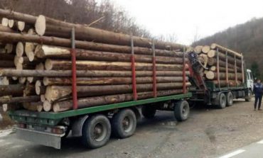 Inspectorii Gărzii Forestiere au descins în comuna Mălini și au depistat un transport ilegal de materiale lemnoase
