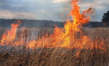 Opt incendii de vegetație în comuna Râșca. Primarul Andreica face un apel public și cere cetățenilor din localitate să renunțe la incendierea terenurilor agricole