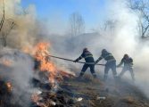 Incendiu de vegetație declanșat într-o pădure din comuna Mălini. Au acționat peste 100 de pompieri și civili