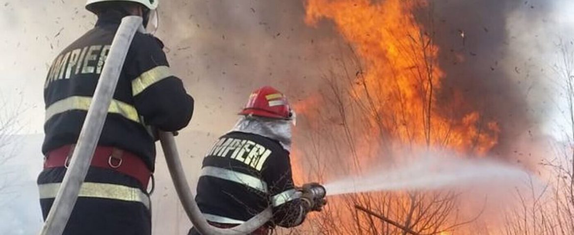 Incendiu de proporții în satul Probota. Flăcările depășesc 10 metri. Există pericol de propagare în fondul forestier