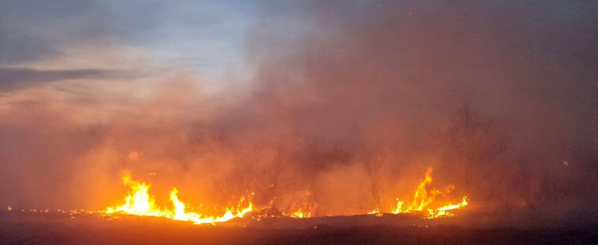 Două incendii au făcut prăpăd pe raza Ocolului Silvic Dolhasca. Au fost distruse 16 hectare plantate cu salcâm