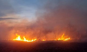 Două incendii au făcut prăpăd pe raza Ocolului Silvic Dolhasca. Au fost distruse 16 hectare plantate cu salcâm
