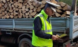 Controale silvice în traficul rutier. Agenții SPR Mălini au amendat un șofer care transporta material lemnos