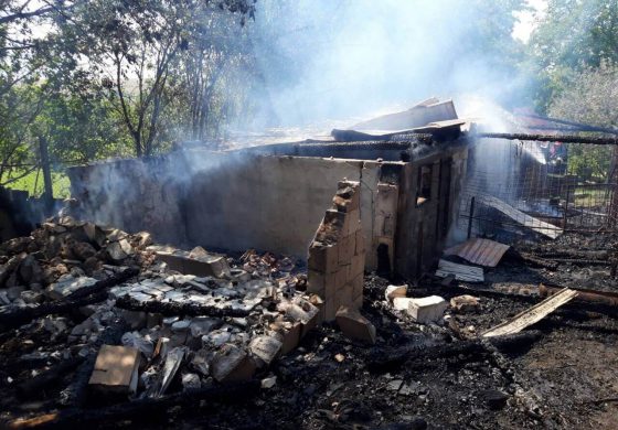 Incendiu în satul Preutești. Flăcările au mistuit un adăpost de animale, două tone de grâu și materiale lemnoase