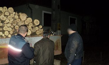 Controale de noapte ale polițiștilor SPR Vadu Moldovei. Materiale lemnoase confiscate de la doi șoferi