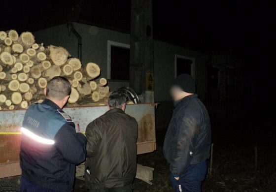 Controale de noapte ale polițiștilor SPR Vadu Moldovei. Materiale lemnoase confiscate de la doi șoferi