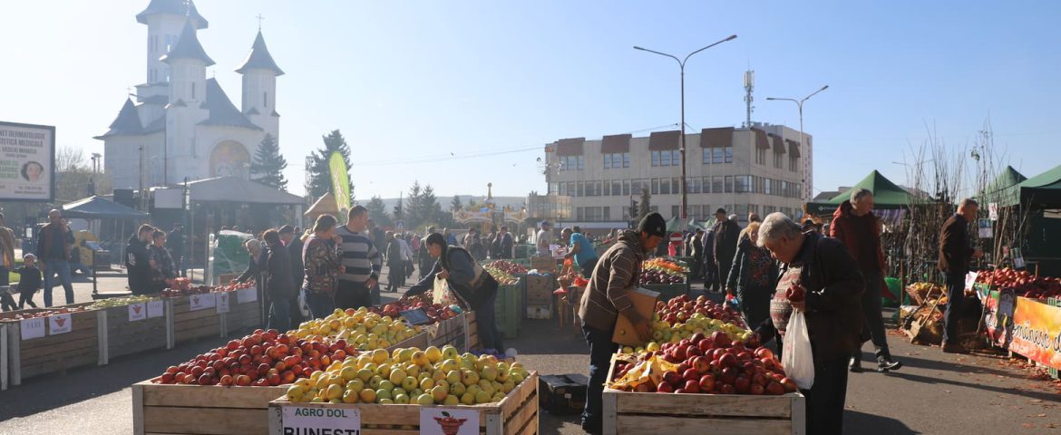 Târgul Mărului și-a deschis porțile în centrul municipiului Fălticeni. Fructe din belșug, bunătăți și folclor