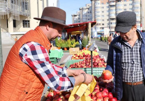 Merele au preț bun la Târgul Mărului. Un antreprenor din Lămășeni are deja 30 de tone comercializate