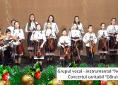 Fălticenenii sunt invitați la concertul caritabil „Dăruim din suflet”. Un eveniment al Colegiului „Mihai Băcescu”