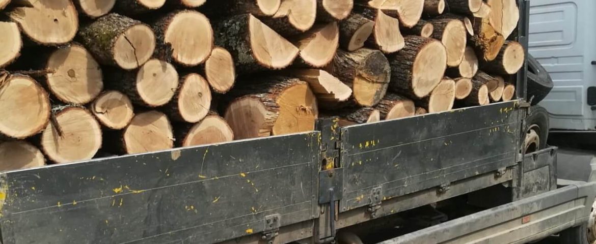 Polițiștii SPR Vadu Moldovei au depistat două transporturi ilicite de lemn și cherestea. Amenzi în valoare de 14.000 lei