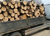 Polițiștii SPR Vadu Moldovei au depistat două transporturi ilicite de lemn și cherestea. Amenzi în valoare de 14.000 lei