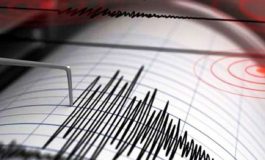 Un cutremur de 5,2 grade s-a produs în România. Este al doilea mare seism înregistrat în ultimii doi ani