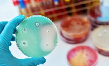 Care sunt bacteriile cu cea mai mare rezistență la antibiotic și ce infecții pot provoca. Lista surselor de contaminare