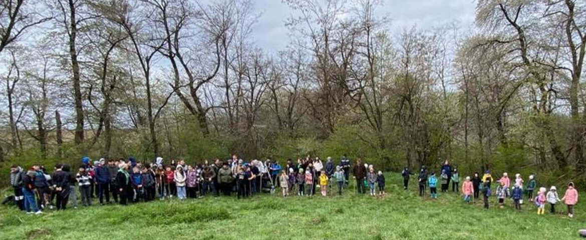 Activitate de plantare în comuna Rădășeni. Numeroși elevi și profesori voluntari au dat viață unei noi păduri