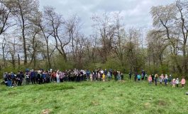 Activitate de plantare în comuna Rădășeni. Numeroși elevi și profesori voluntari au dat viață unei noi păduri