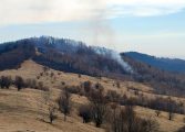 Incendiu într-o lizieră din comuna Mălini. Au ars  circa 10 hectare de vegetație uscată. Intervenție cu 70 de persoane