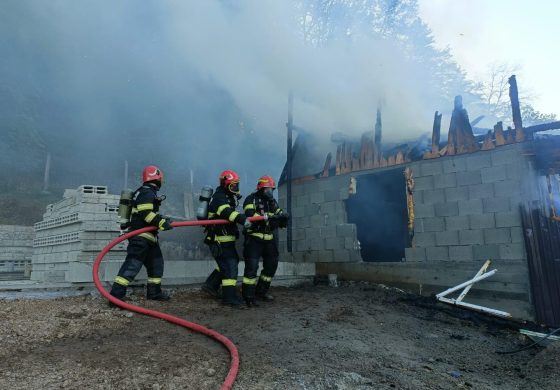 Incendiu într-o gospodărie din comuna Preutești. Flăcările au distrus un adăpost pentru animale și câteva bunuri