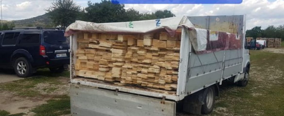 Polițiștii au depistat noi transporturi ilegale de material lemnos în localitățile Fălticeni, Bogdănești și Vadu Moldovei