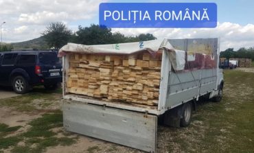 Polițiștii au depistat noi transporturi ilegale de material lemnos în localitățile Fălticeni, Bogdănești și Vadu Moldovei
