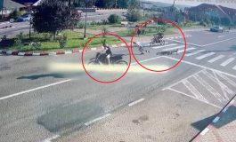 Accident rutier în comuna Baia. Copil lovit de doi motocicliști. Primul impact s-a produs pe trecerea de pietoni