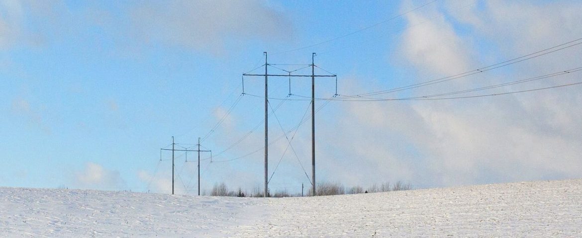 Ninsorile au provocat deranjamente pe rețelele de electricitate din Fălticeni, Petia, Găinești, Râșca și Horodniceni