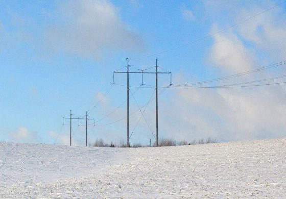 Ninsorile au provocat deranjamente pe rețelele de electricitate din Fălticeni, Petia, Găinești, Râșca și Horodniceni