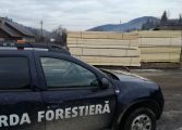 Un nou control al Gărzii Forestiere efectuat în comuna Mălini. Peste 50 mc de material lemnos au fost confiscați