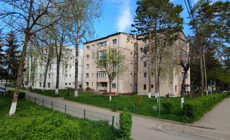 Începe toaletarea spațiilor verzi. Primăria Municipiului Fălticeni dă startul campaniei pe strada Republicii